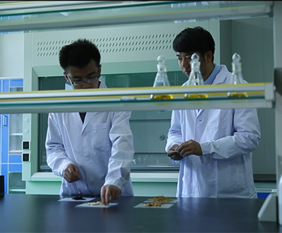 党建引领聚合力 校企联动赋新能——ddpay钱包与甘肃中医药大学深化产学研协同